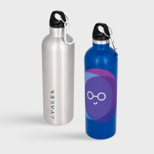 Atlantic vacuÃ¼m geÃ¯soleerde drinkfles | 530 ml