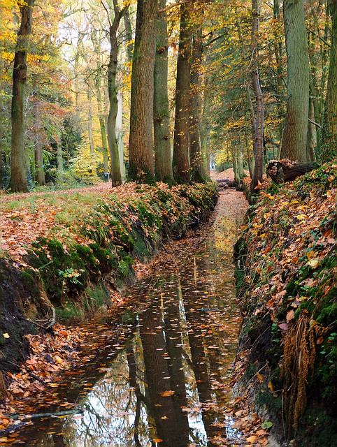 Assen 29 30451128274 4229130b6b z Drukkerij in