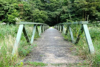 Zeewolde 29 504110 Drukkerij in