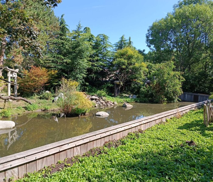 Alpen aan den Rijn 29 Avifauna japan scaled pzfjqedwiz28ncdzlvg14it1vl77f1wbddyfpkwltc Drukkerij in