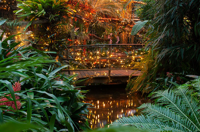 Emmeloord 29 Lichtevenement in Pantropica Drukkerij in