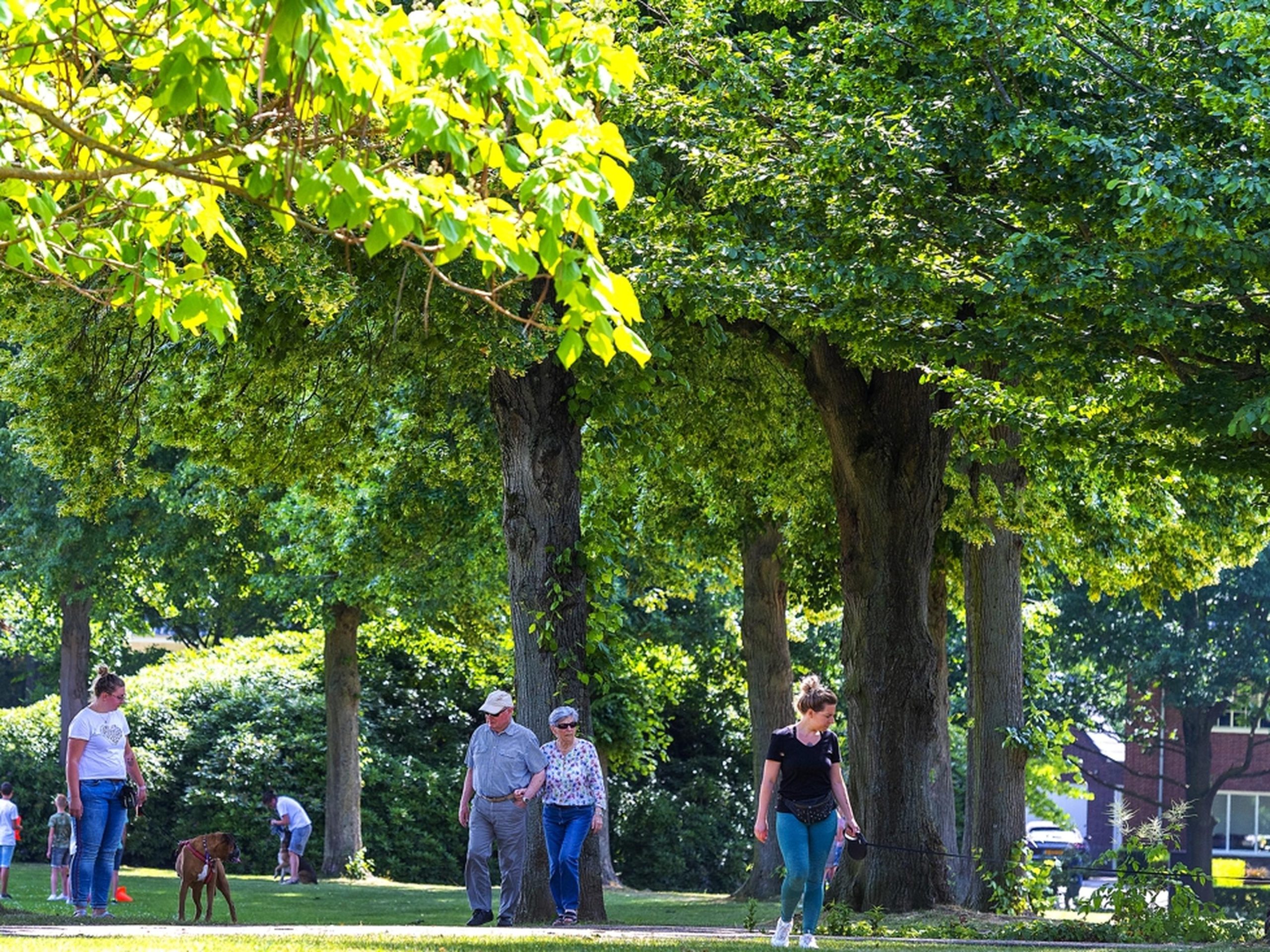 Geleen 29 Ontspannen in het Burgemeester Damenpark 1 scaled Drukkerij in