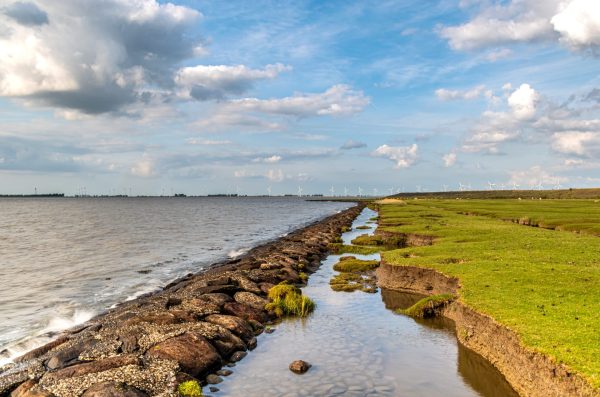 Delfzijl 29 admin Drukkerij in
