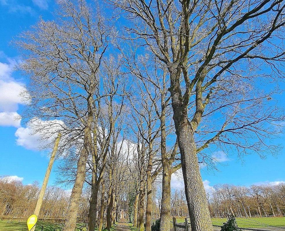 capti r Drukkerij in