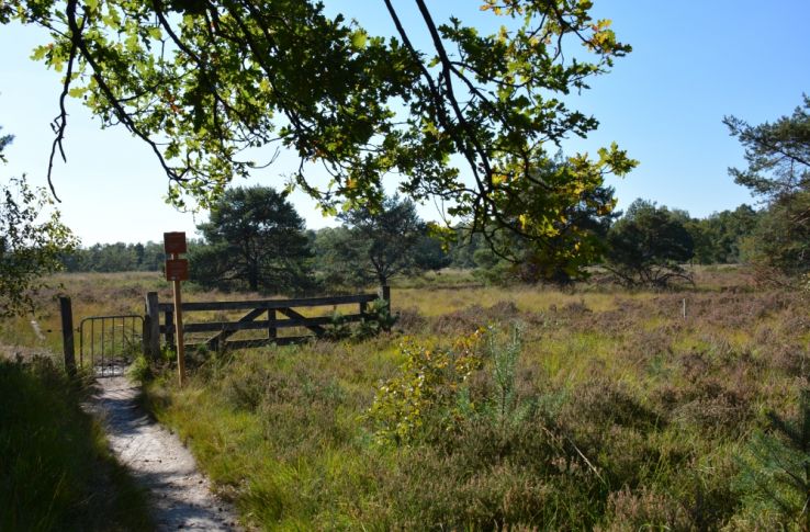 Eersel 29 cartierheide1 1560852544 8049e Drukkerij in