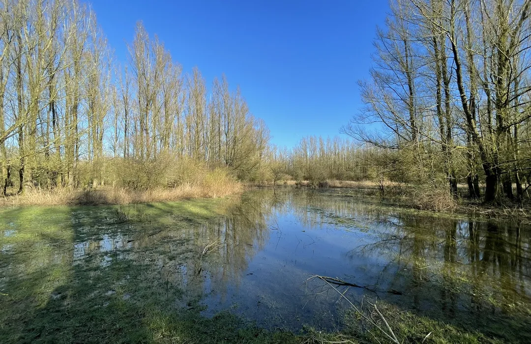 Zeewolde 12 Drukkerij in