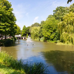 Zeeland 29 goes 1 Drukkerij in