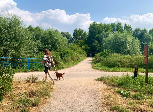 Zoetermeer 29 image00026 Drukkerij in