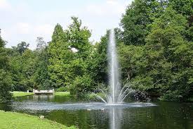 images 5 Drukkerij in