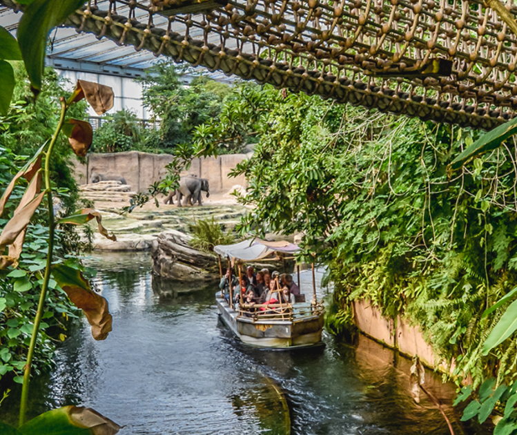 jungola 1 Drukkerij in