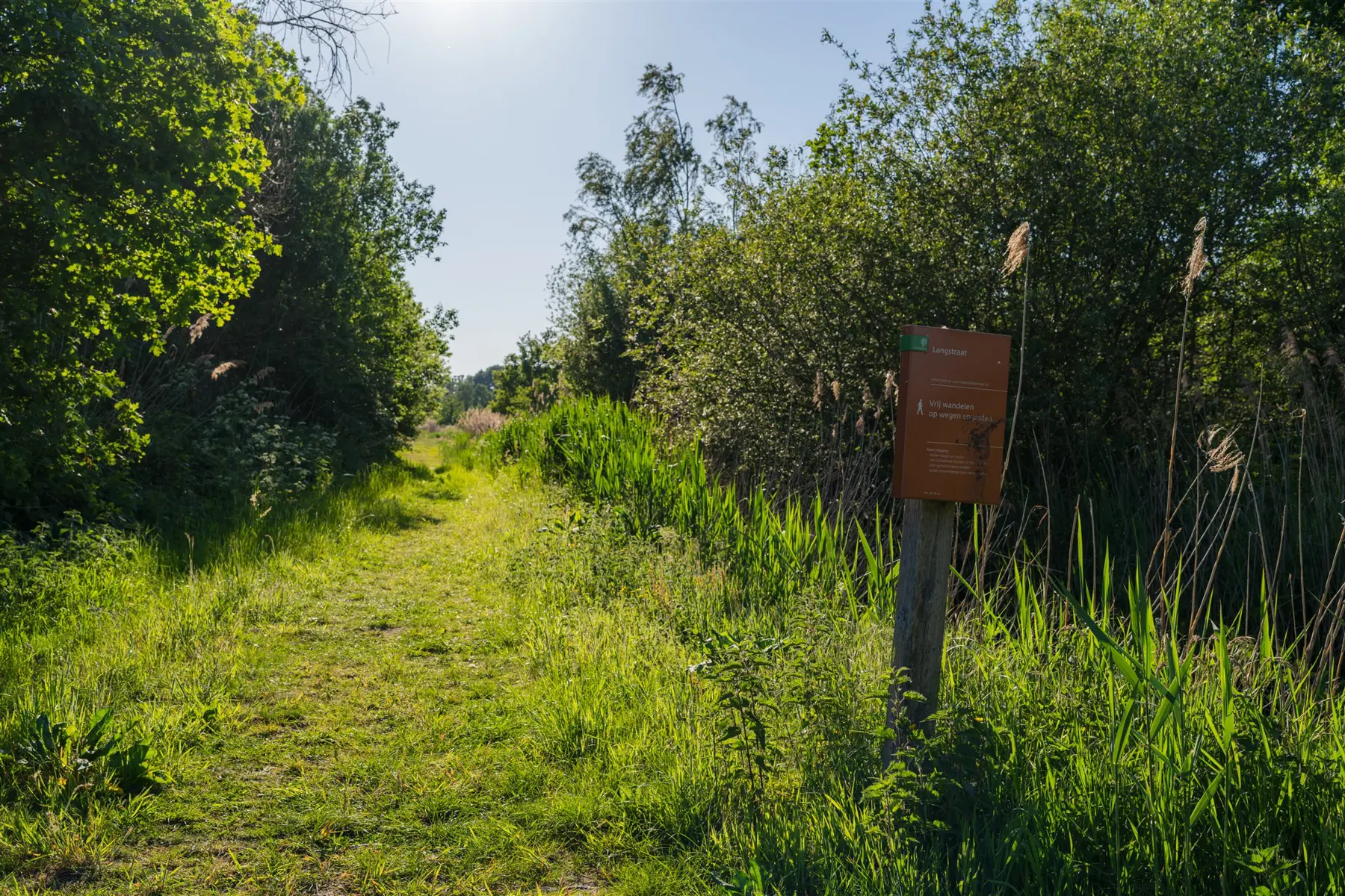 Waalwijk 29 mbjp rbtdelangstraat westelijkel langstraat 6 Drukkerij in