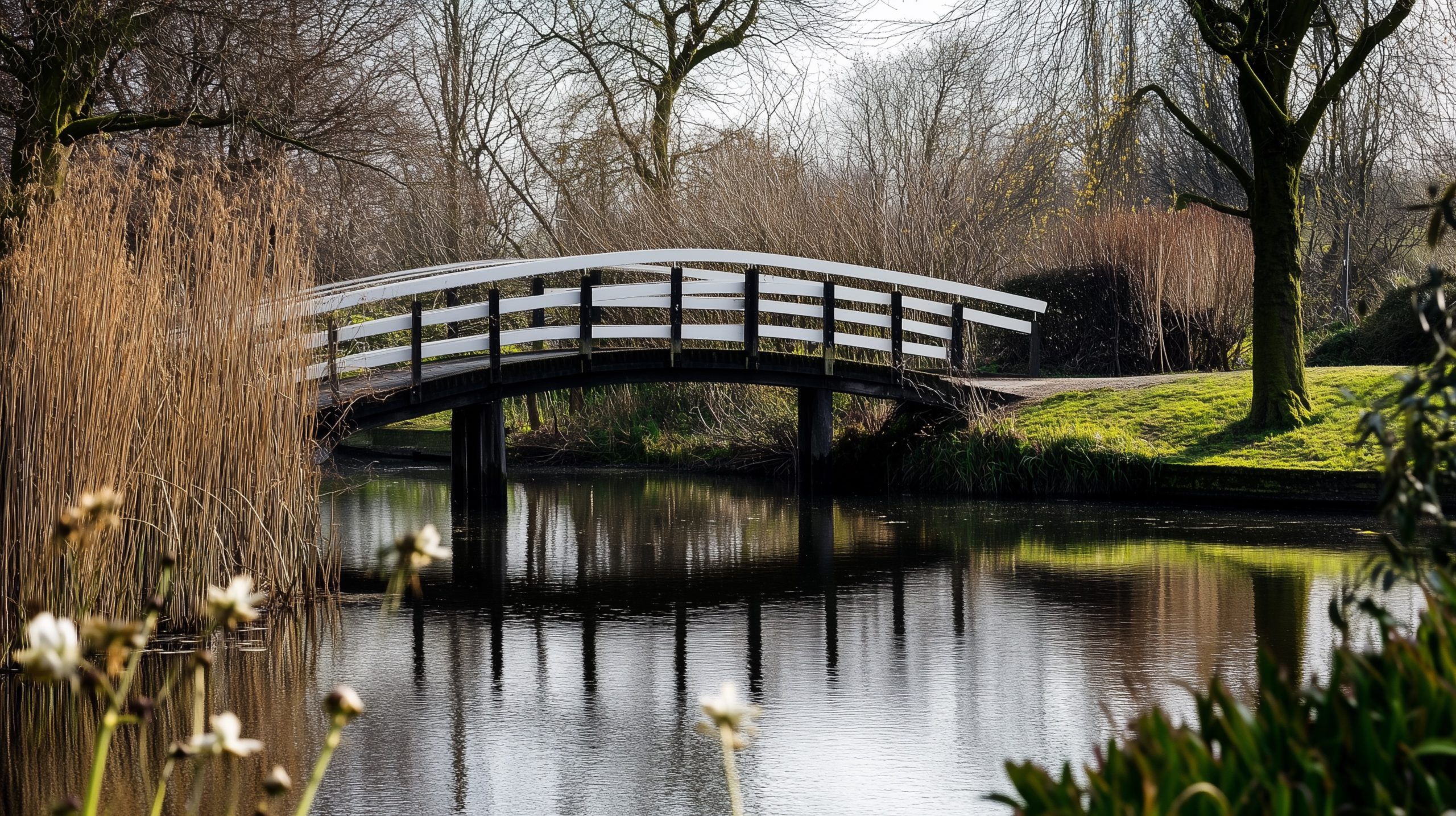 parkborgerswold 1739893127 scaled Drukkerij in