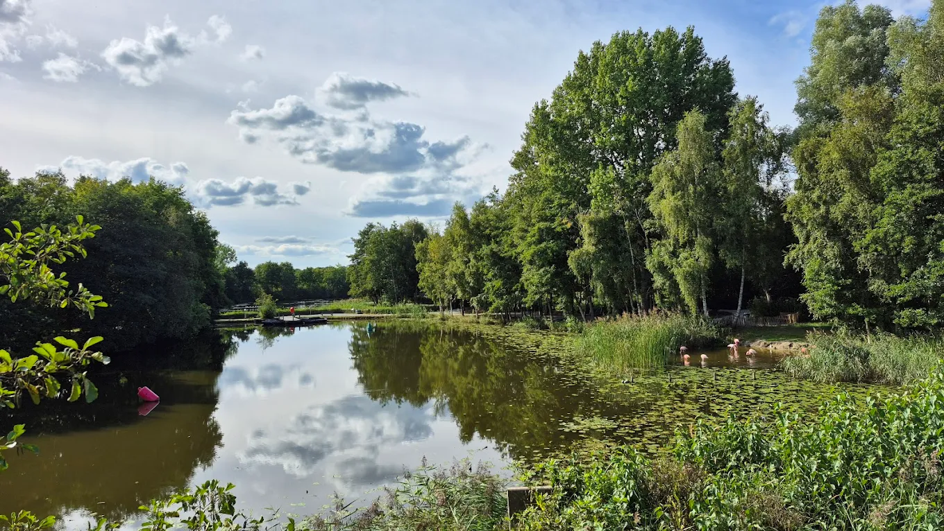 Leeuwarden 29 unnamed 4 Drukkerij in